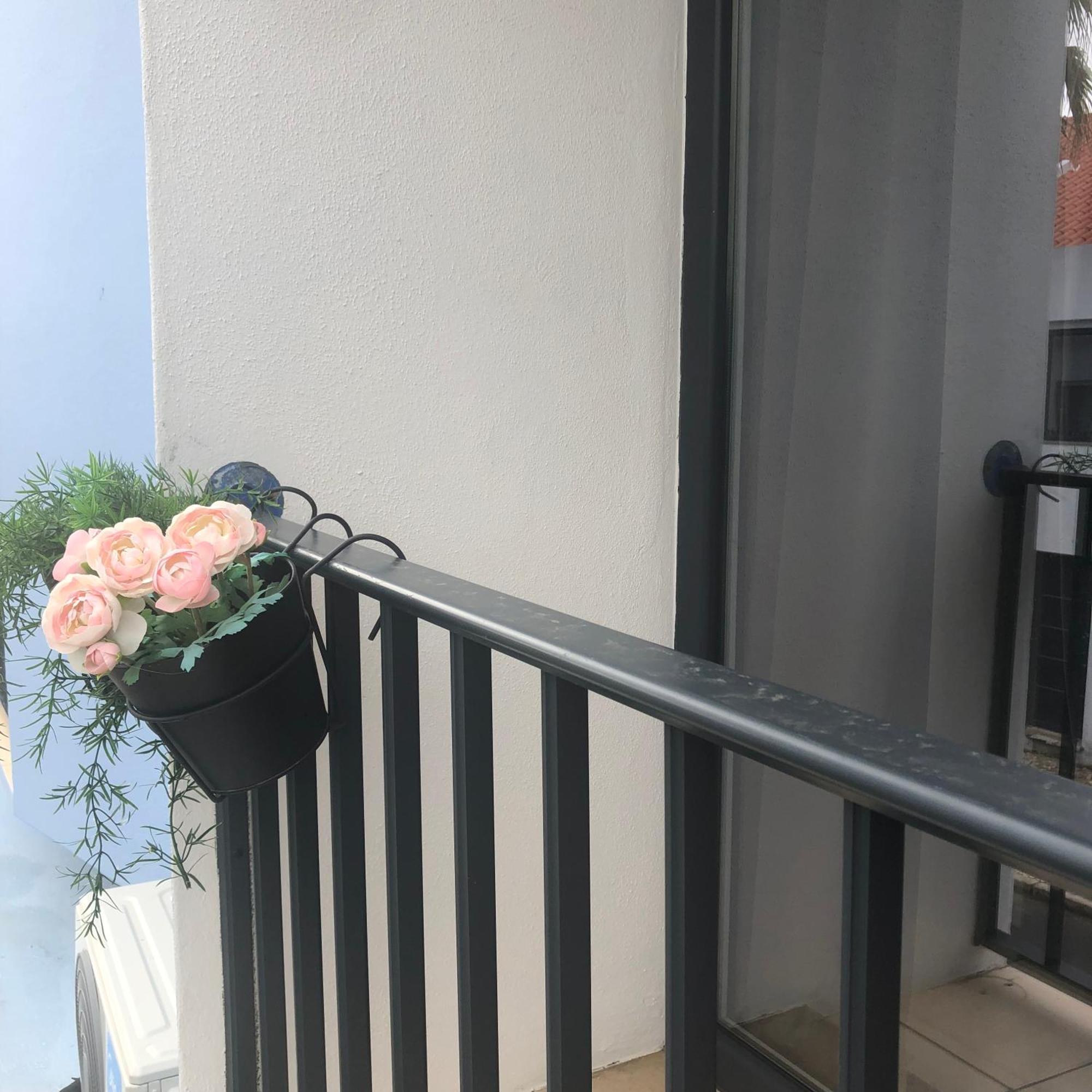 Calmaria Guesthouse Порту-Кову Экстерьер фото